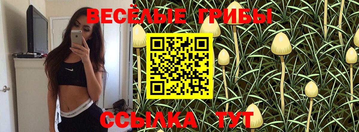 Галлюциногенные грибы Cubensis Кызыл