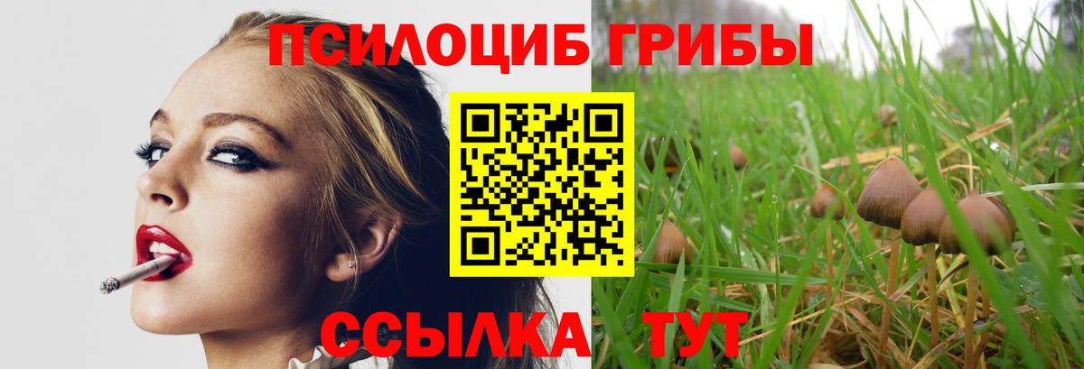 Кызыл  Галлюциногенные грибы прущие грибы  Вход с VPN  Псилоцибиновые грибы мицелий 